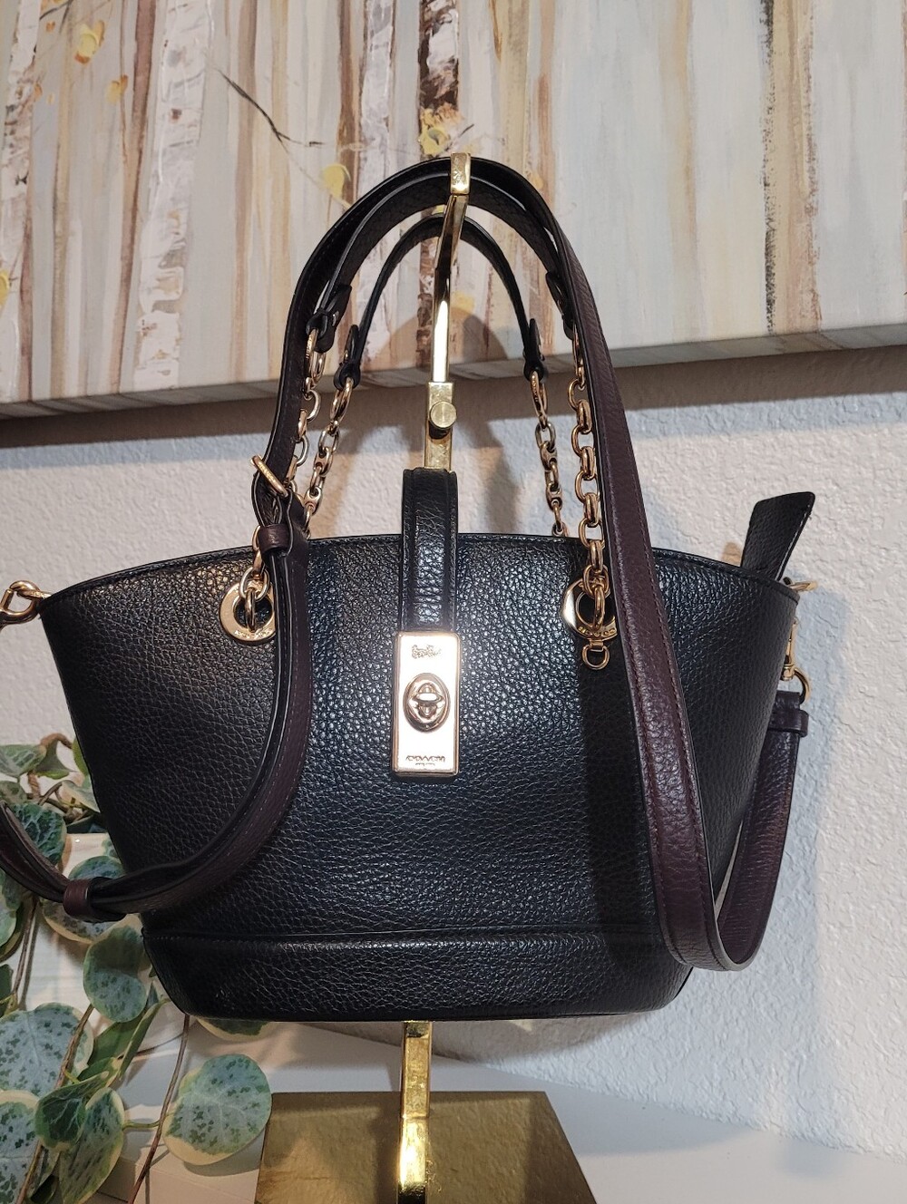 Coach Black Colorblock Lane Bucket Leather Tote Handbag with Gold Hardware